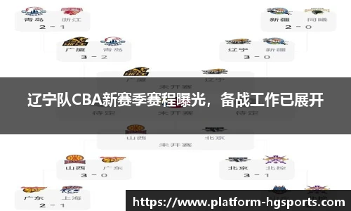 辽宁队CBA新赛季赛程曝光，备战工作已展开